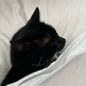 Meet your Posher, Caitlin